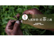 春季團建—九溪探春+采茶之路